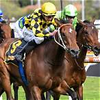 turnbull stakes day bet on